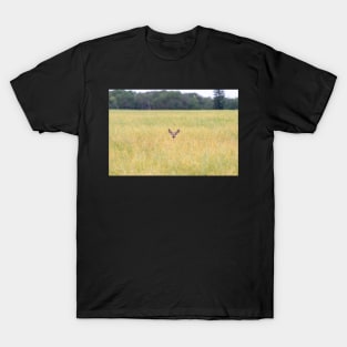 Deer in a Field T-Shirt